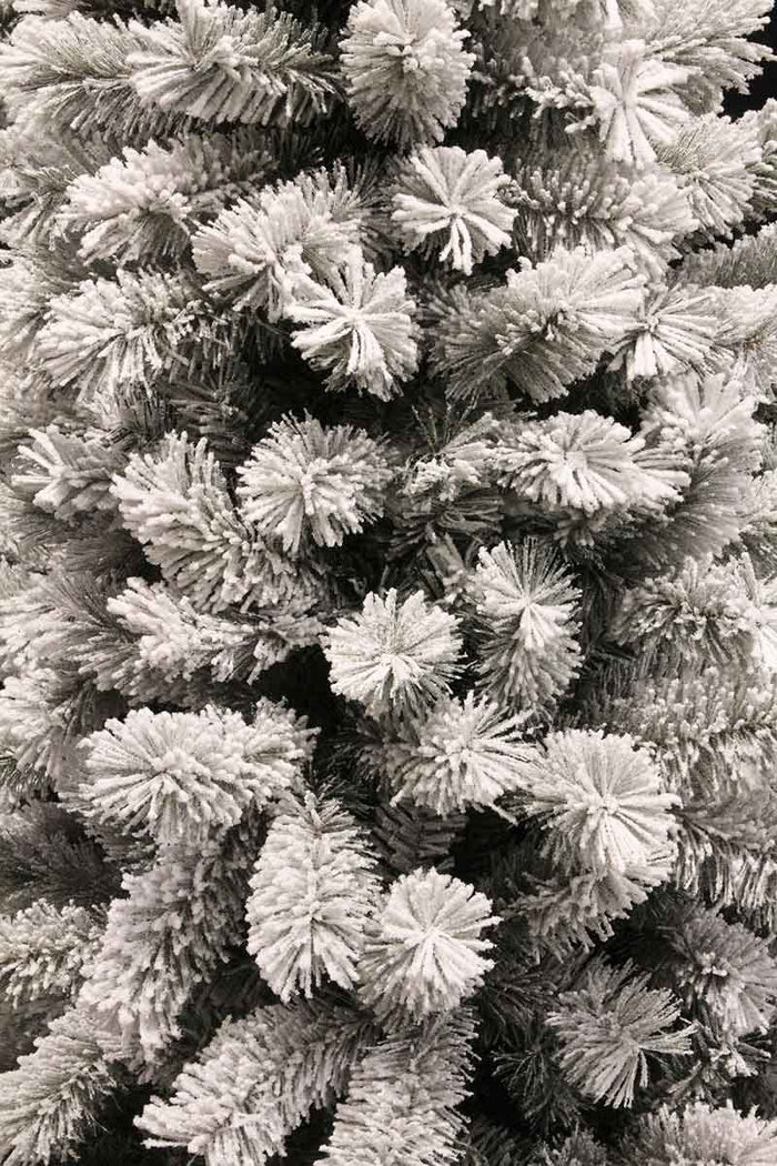 Black Box medford kerstboom groen frosted tips 710 maat in cm: 215x114