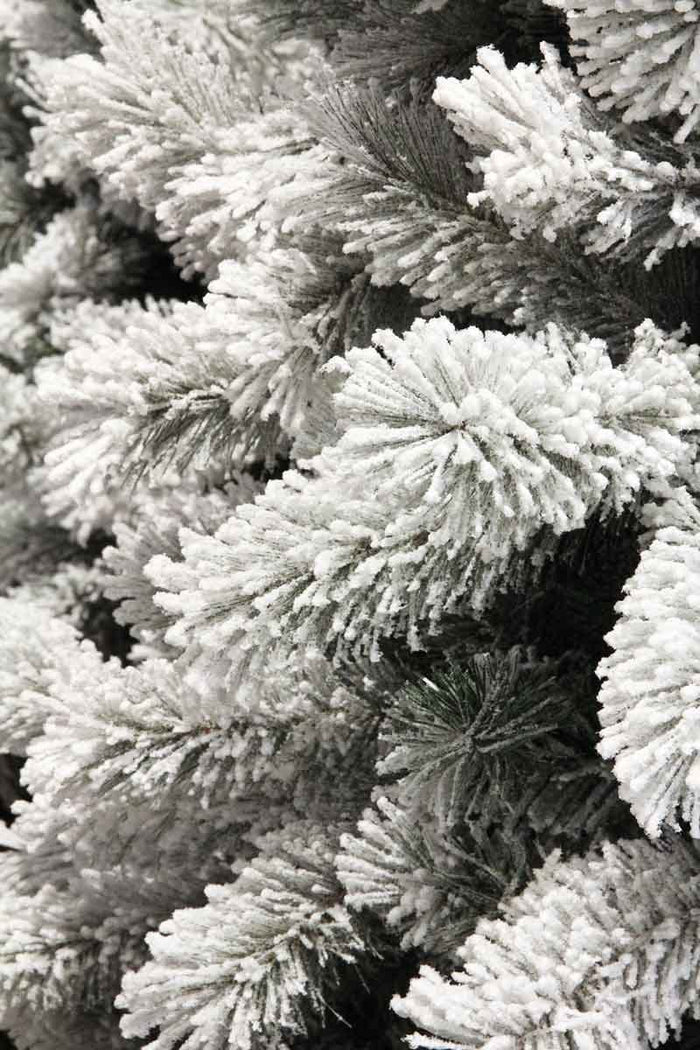 Black Box medford kerstboom groen frosted tips 710 maat in cm: 215x114