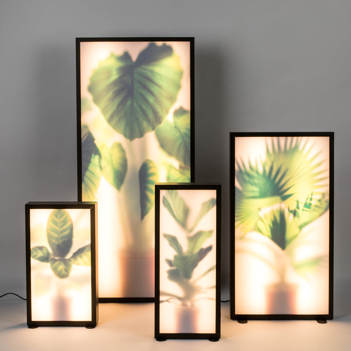 Zuiver Grow Vloerlamp M