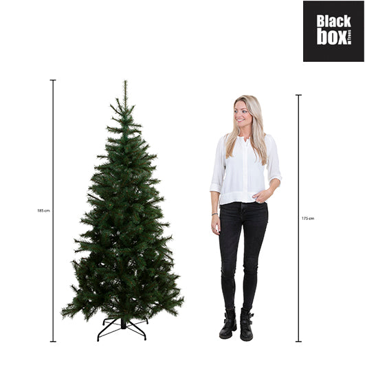 Black Box Trees Brampton Kunstkerstboom Smal - H185 x Ø114 cm - Groen