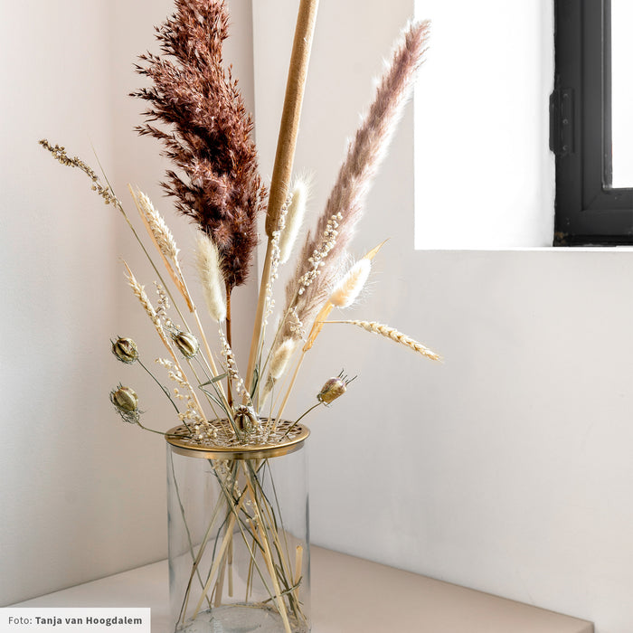 284244-x3.jpg (4058010)