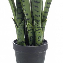 d93f4c9e-c6b4-401f-9b79-5e992330e26c-afbeelding3.jpg (4059920)