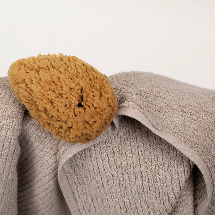 290283-x01.jpg (4062881)