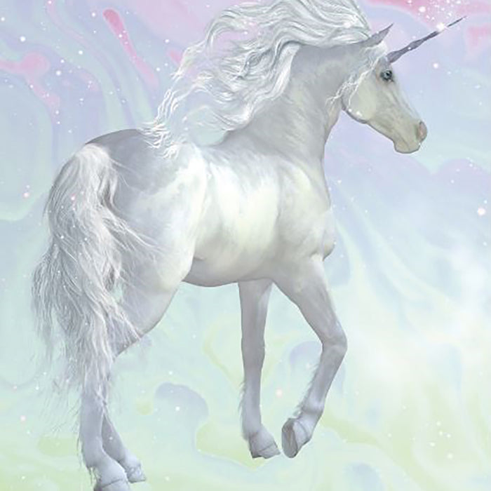 2_126302-x0.jpg (4065392)