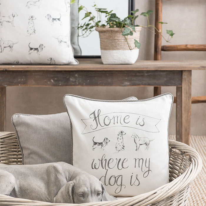 e521be34-3a70-4ce8-877d-9f418fe4030e-afbeelding10.jpg (4078753)