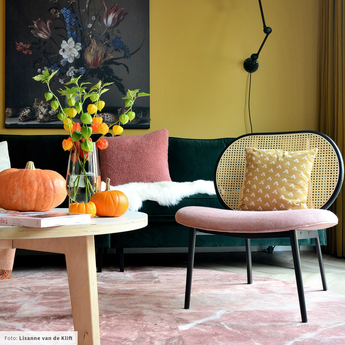 286425-x6.png (4081519)