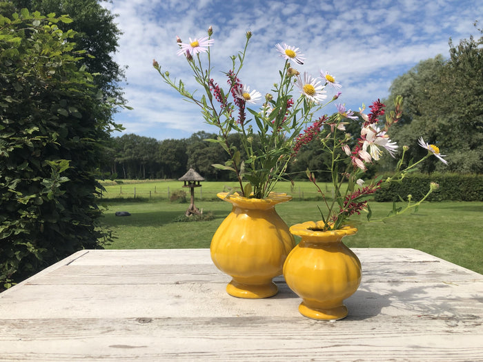 6d327927-7a5a-489d-97f5-f1b3fcd8b354-sfeerbeeld.jpg (4088066)