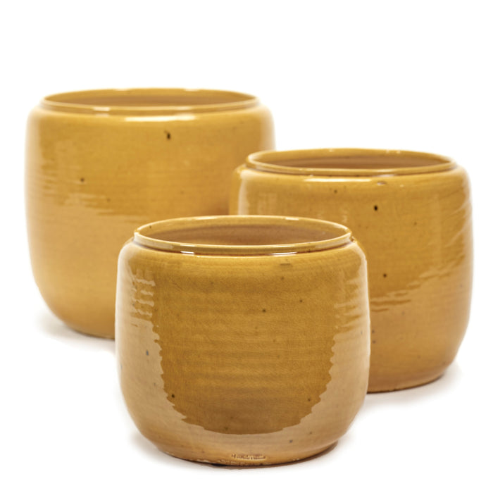 0f286ae4-487b-453d-878f-9a174b6710a6-sfeerbeeld.jpg (4089861)