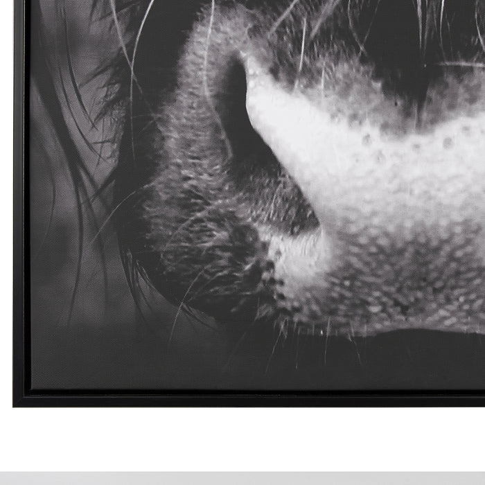 29263934-0938-4719-90d1-aed835844797-afbeelding5.jpg (4093593)