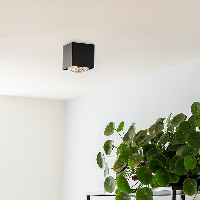 b45d0b21-72c6-40f3-932d-3f79ddf1355b-sfeerbeeld.jpg (4100293)