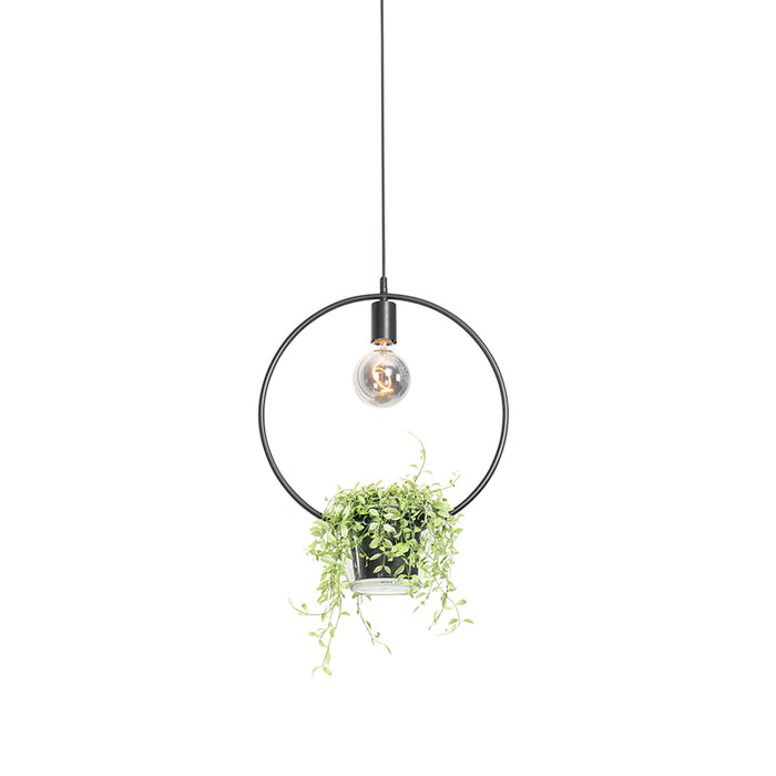 QAZQA Moderne hanglamp zwart met glas rond - Roslini