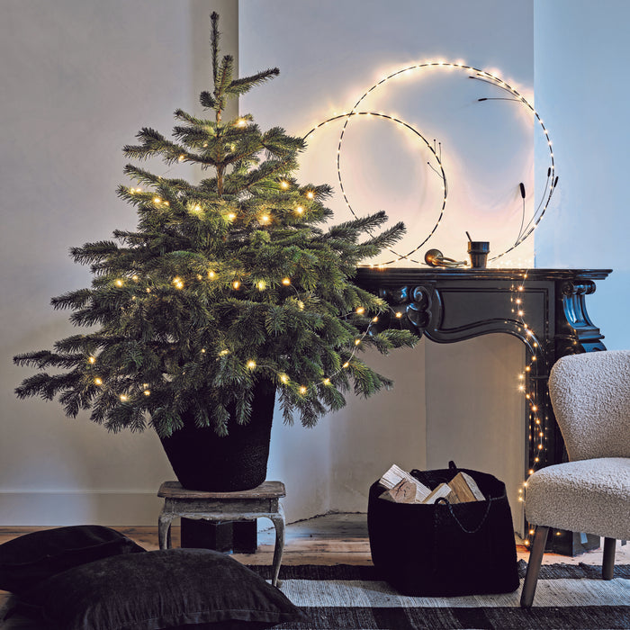 290585-x1.jpg (4104163)