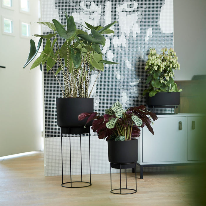 285619-x04.jpg (4108987)