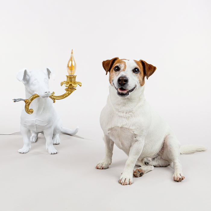 2_259626-x10.jpg (4110145)