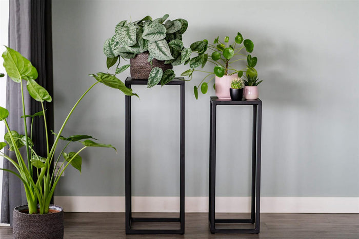 8ccc4d7c-61a0-4929-b75f-174ebb4f87eb-afbeelding5.jpg (4120942)