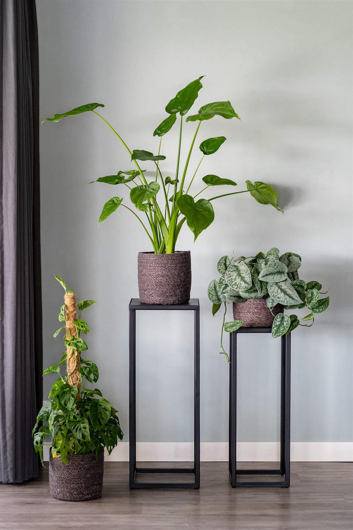 8ccc4d7c-61a0-4929-b75f-174ebb4f87eb-afbeelding9.jpg (4120946)