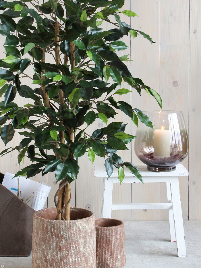 Mica Decorations Ficus Kunstplant - H150 x Ø85 cm - Groen