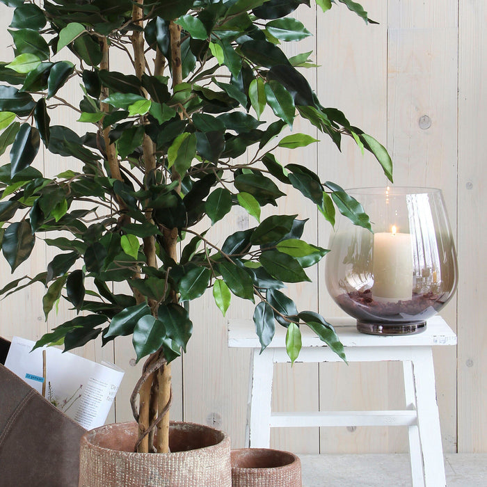 Mica Decorations Ficus Kunstplant - H150 x Ø85 cm - Groen