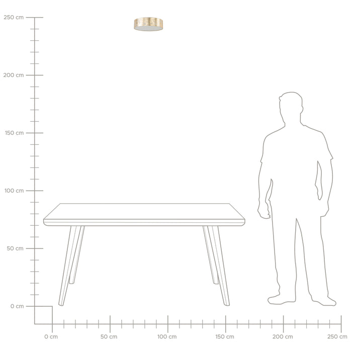 915d0abc-a15a-4f62-824e-3eb699d070c9-afbeelding7.jpg (4141879)