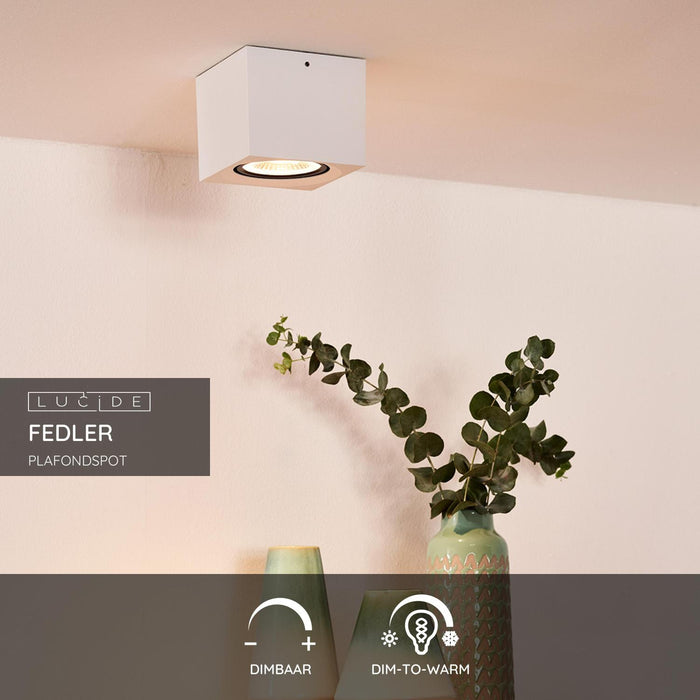 1ba148ef-d641-491c-ae37-58d7a69bcbfa-sfeerbeeld.jpg (4167576)