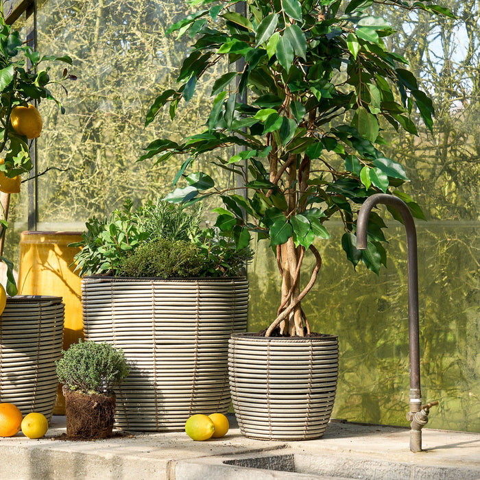 Mica Decorations Ficus Kunstplant - H105 x Ø60 cm - groen