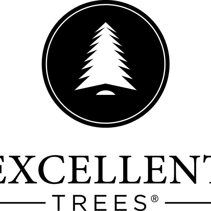 Excellent Trees® LED Stavanger 210 cm - Kerstboom met 500 Lampjes
