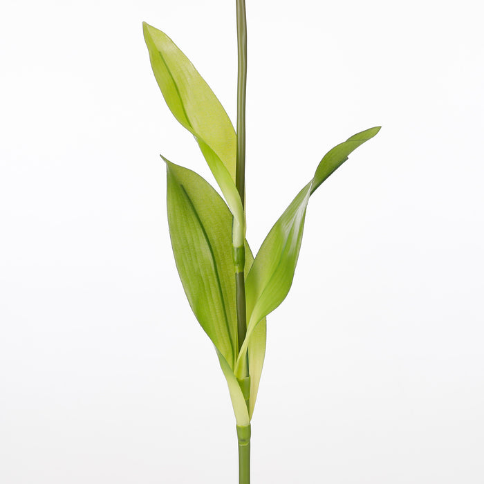 Mica Decorations Papegaai Tulp Kunstbloem - L73 cm - Crème