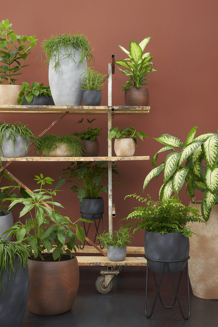 Mica Decorations Plantenstandaard Zwart Ø30 cm