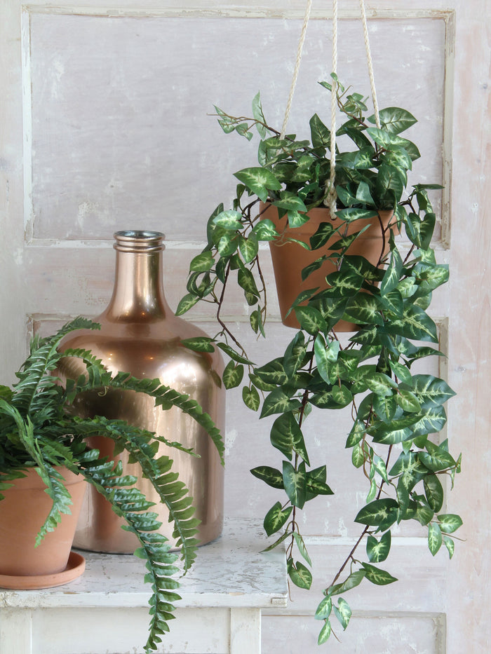 Mica Decorations Fittonia Kunst Hangplant in Pot - H80 cm - Groen