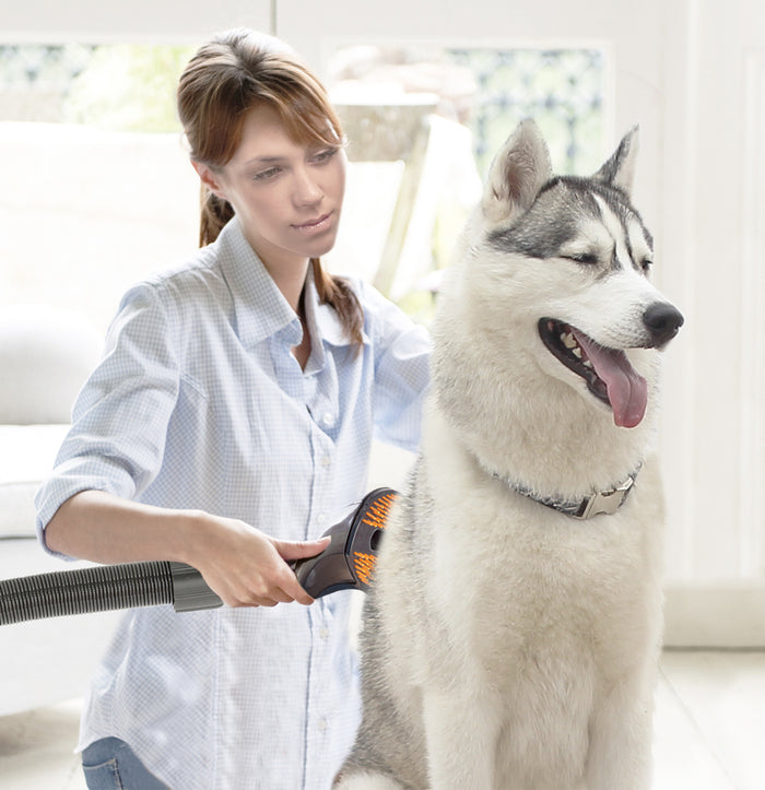 TurboTronic VS180 draadloze steelstofzuiger met accessoires - Rood