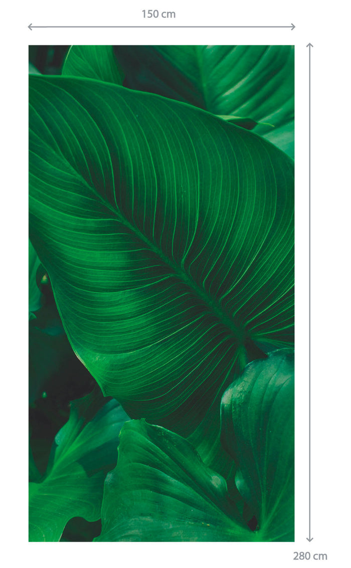 Daring Walls Behang Tropical leaves - 6