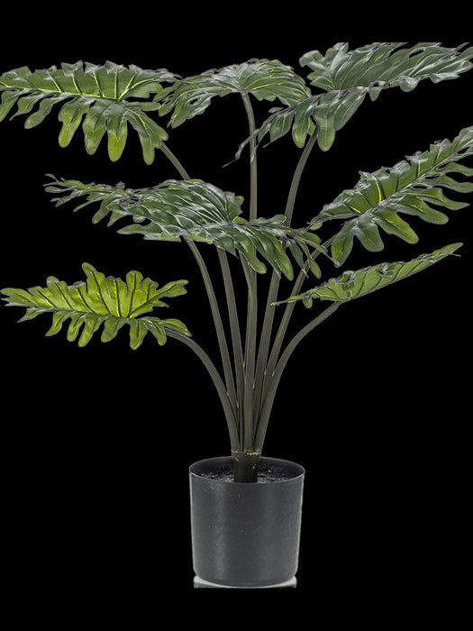 2d4d1c4c-a4ad-4bff-b73f-b6d3acbf1a40-afbeelding3.jpg (4267377)