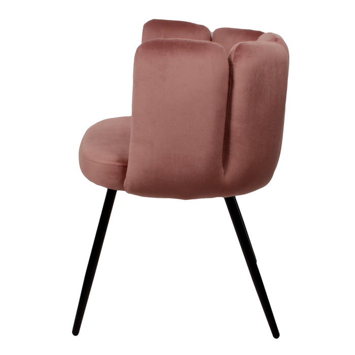 5ea47099-b82a-4e67-b0a7-de22bbc97494-afbeelding3.jpg (4270012)