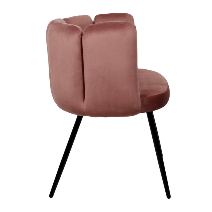 5ea47099-b82a-4e67-b0a7-de22bbc97494-afbeelding5.jpg (4270014)