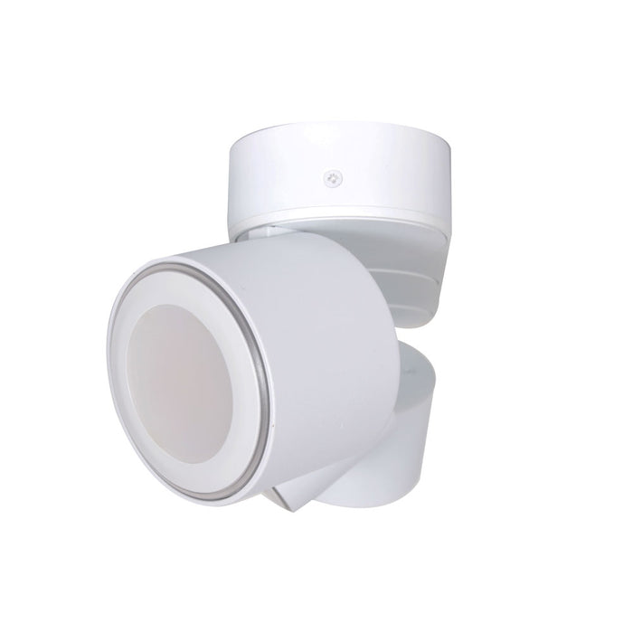 ff93d147-3b94-4a88-a76c-e8f0fadc9ab2-afbeelding6.jpg (4279446)