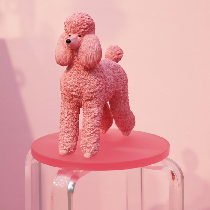 &k amsterdam Poedel Spaarpot