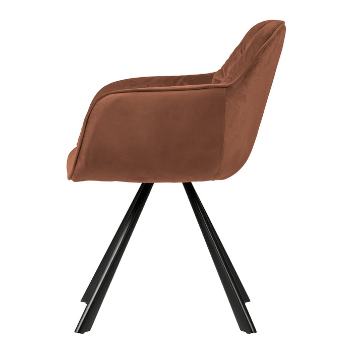 293869-x2.jpg (4295631)