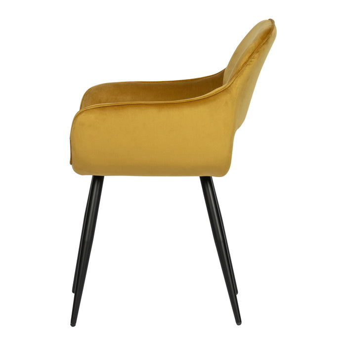 293903-x2.jpg (4297017)