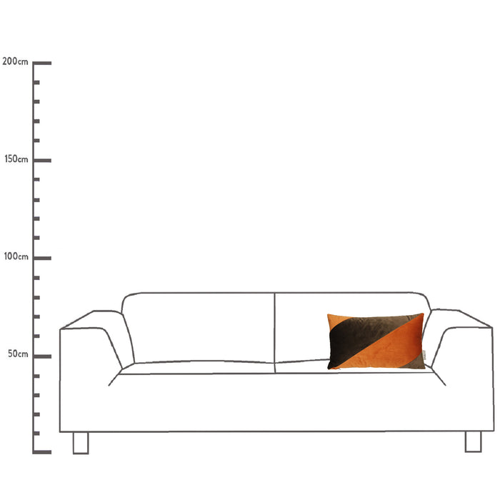 306123-x05-c.jpg (4306926)