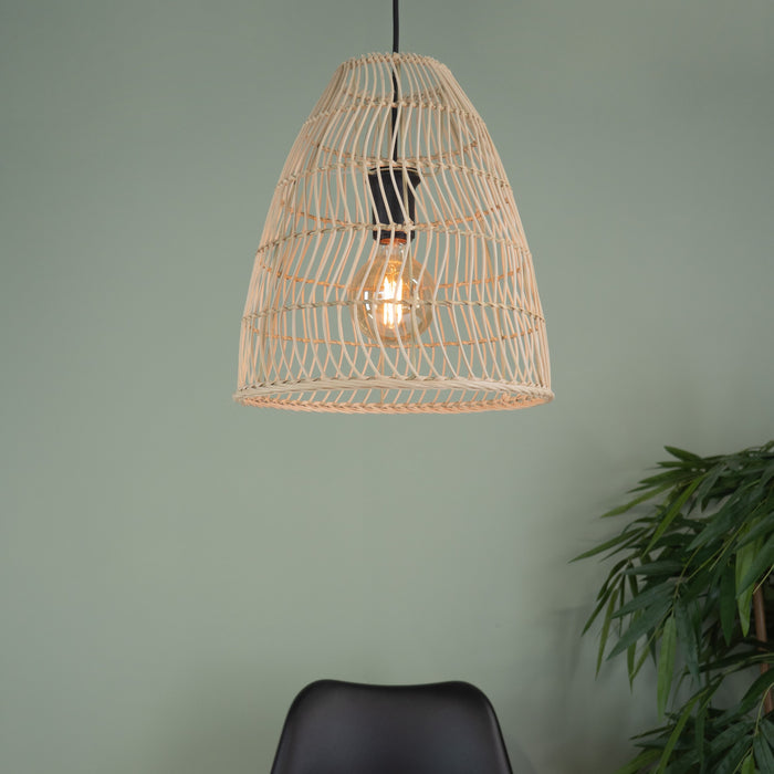 315142-x01-202209141522-a.jpg (4307151)