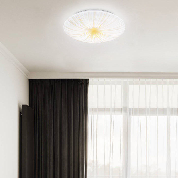 315195-x01-202209141522-a.jpg (4307660)