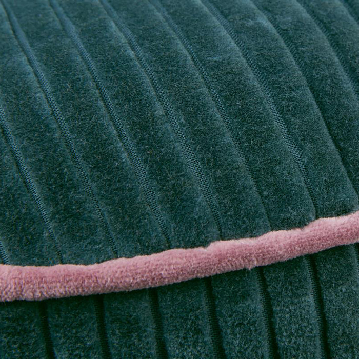 314849-x02-202209160248-a.jpg (4312252)