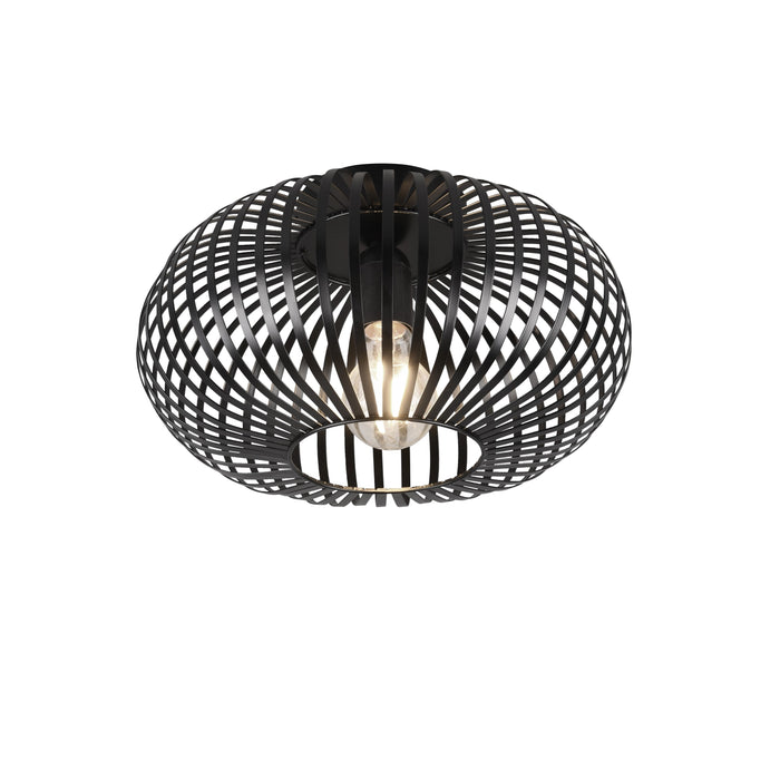 TRIO Johann Plafondlamp Ø 30 cm