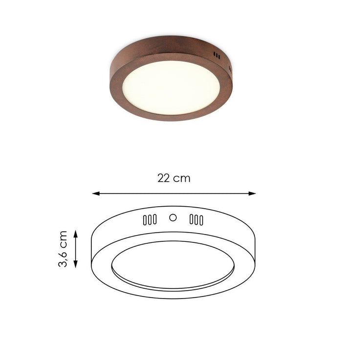 716da726-9603-4193-bf3e-80b802a37344-afbeelding3.jpg (4483859)