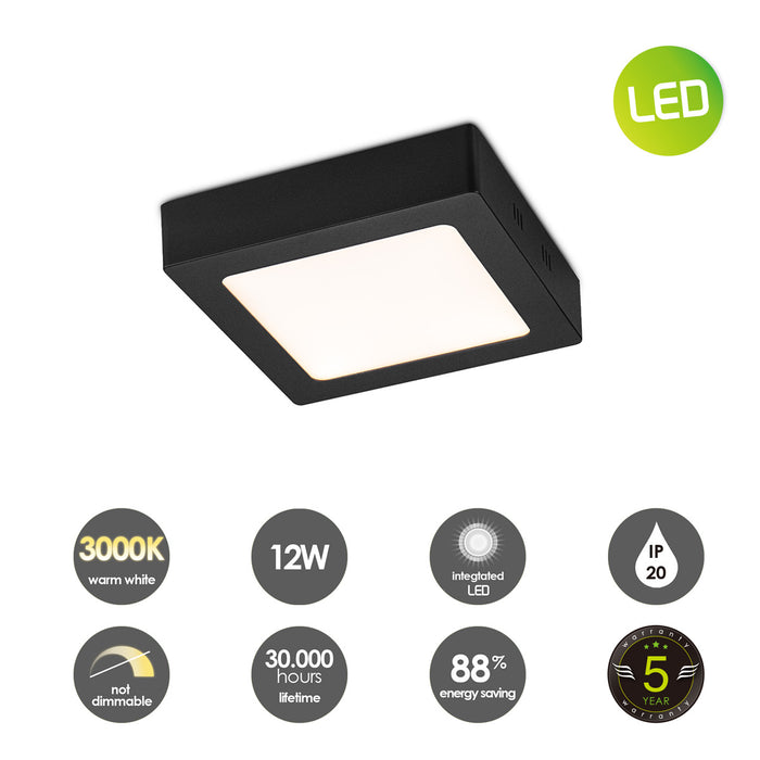 607b4f29-340d-47c6-9209-21ceffa8e35d-afbeelding12.jpg (4508706)