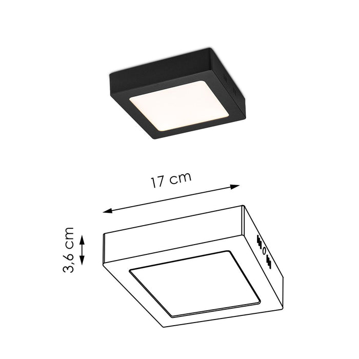 607b4f29-340d-47c6-9209-21ceffa8e35d-afbeelding3.jpg (4508707)