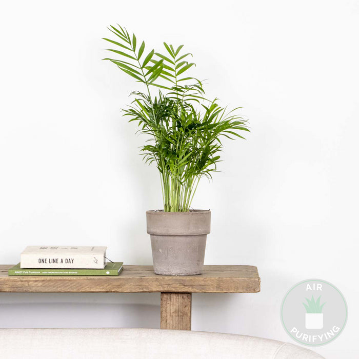 7bb603d0-f138-4cb1-970e-5af0f81f5ae2-sfeerbeeld.jpg (4516228)