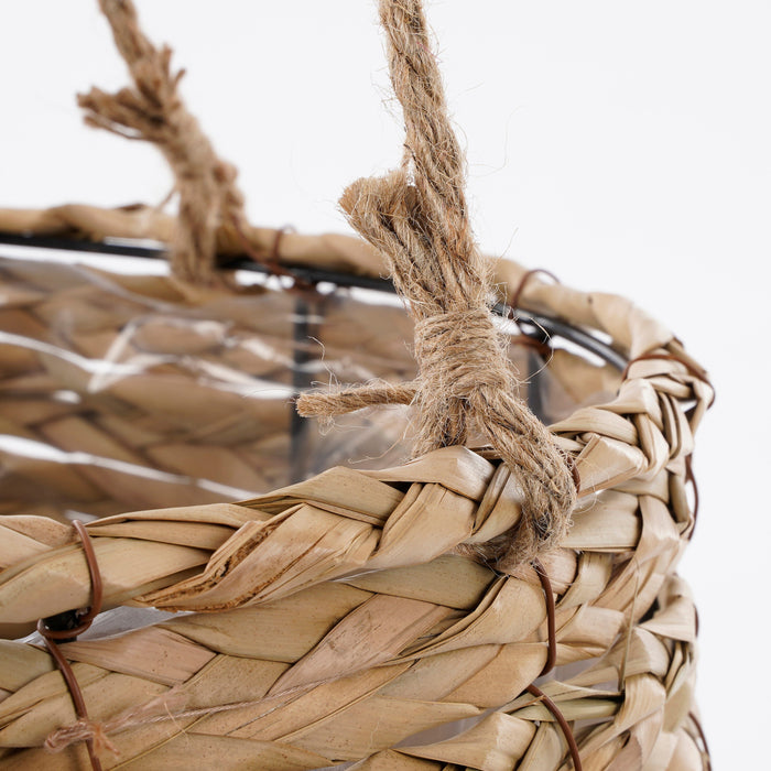 4b0f7698-a45d-4fd6-87c3-437683bade8d-afbeelding3.jpg (4516712)