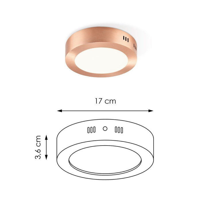 0917d3ca-b8e2-42e7-95d9-e003ce26884b-afbeelding3.jpg (4516775)