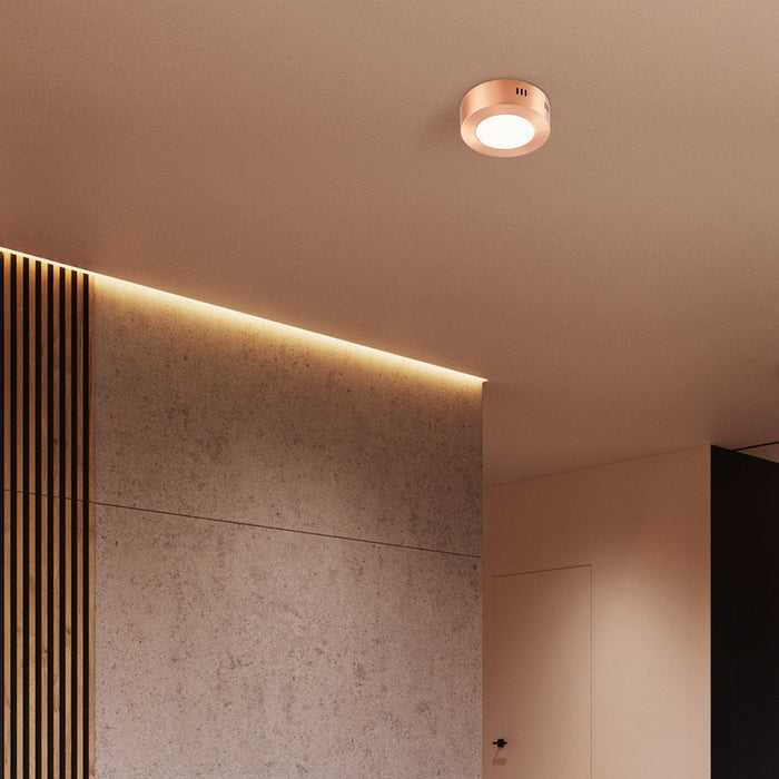 d9e4b039-d1af-4cb0-bc58-6bef7914f986-afbeelding10.jpg (4519996)